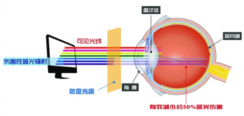 抖阴软件最新科技成果 抖阴短视频污下载成护眼利器